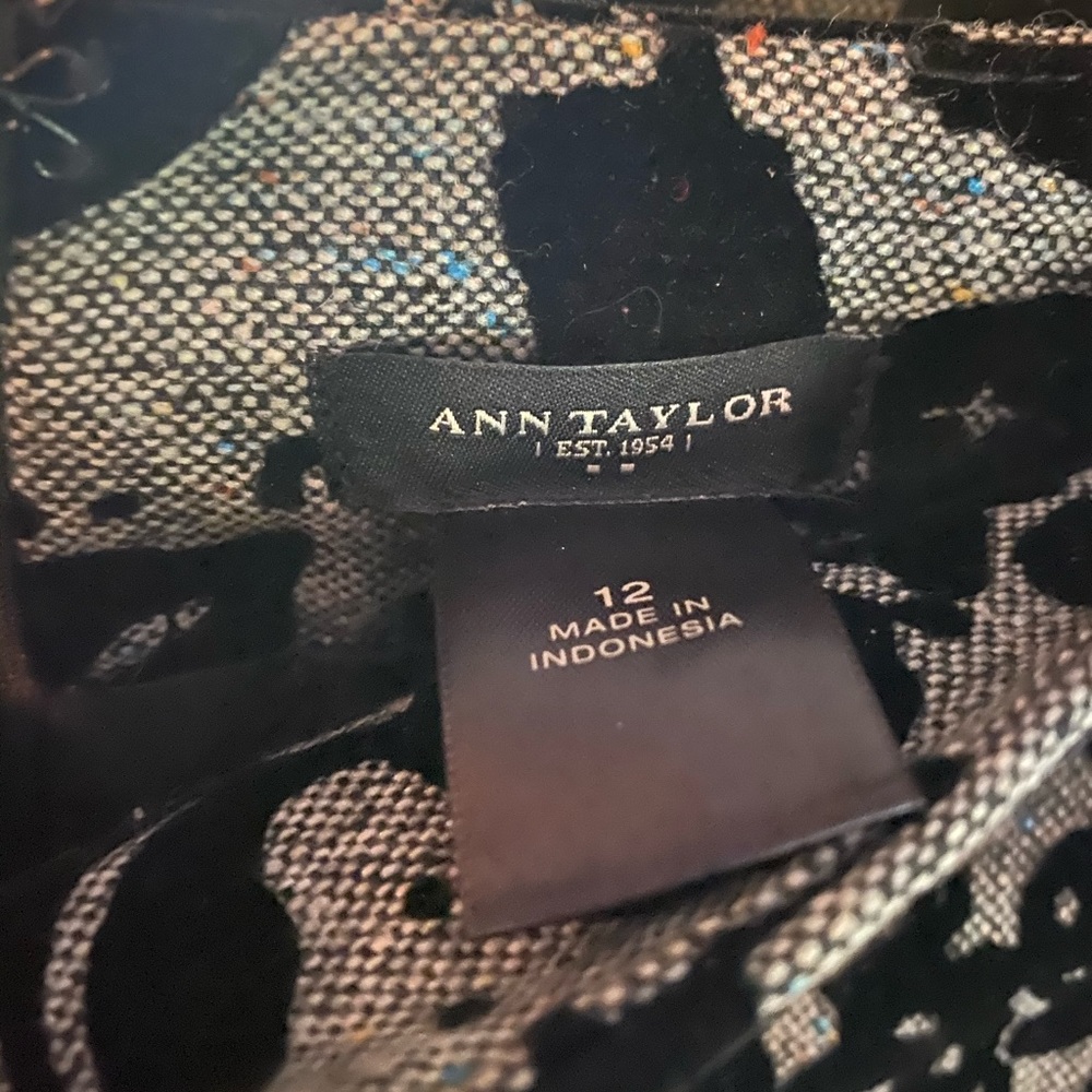Ann Taylor Skirt